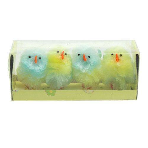 Floristik24 Pintinhos chenille amarelo, azul 5cm 4pcs