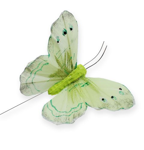 Floristik24 Borboleta decorativa em fio verde 8cm 12pcs