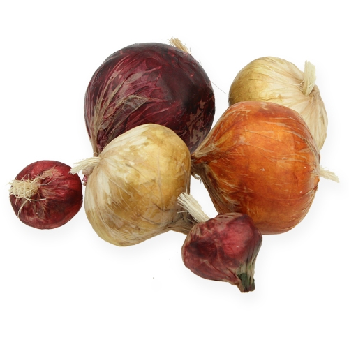 Floristik24 Cebola grande e pequena 14pcs artificiais.