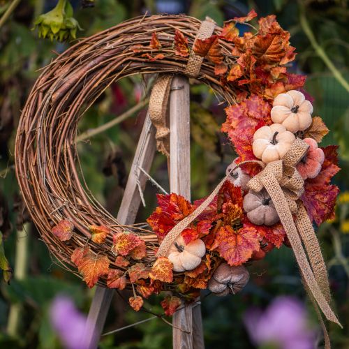 Coroa decorativa de mini videira natural Ø15cm, 6 peças, faça você mesmo | Floristik24.pt