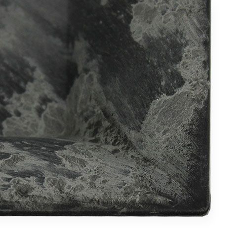 Floristik24 Placa de plástico 20cm x 20cm quadrada antracite 6pcs