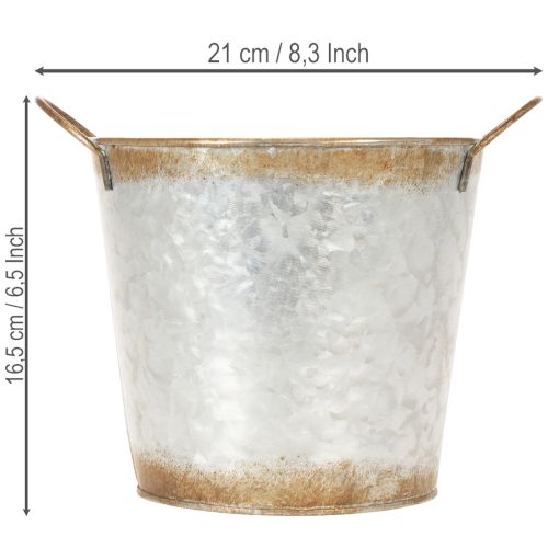 Itens Vaso decorativo com alças, balde para plantas, recipiente de metal, prateado, aço patinado, Ø17cm A16,5cm