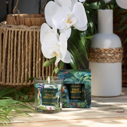 Floristik24 Vela perfumada em recipiente de vidro Vela Pepino-Eucalipto Verde Ø7cm