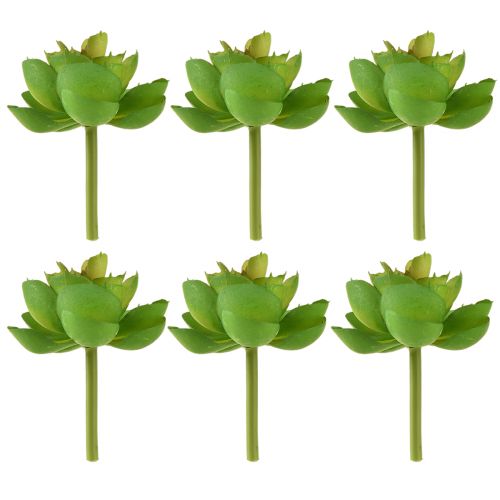 Itens Echeveria Suculentas Artificiais Verde Ø7cm 6 pcs