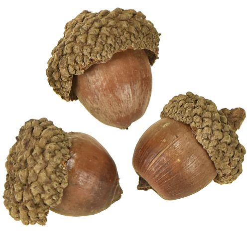 Itens Bolotas para decoração, decoração de outono, frutas naturais de outono Ø1,5 – 2,5cm L1,5 – 3cm 300g