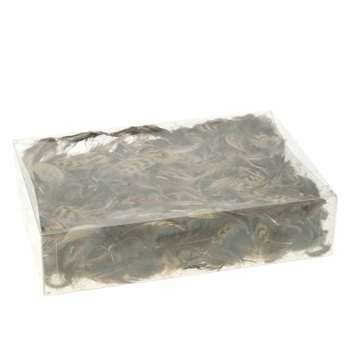 Floristik24 Penas naturais 4,5 - 9cm 20g