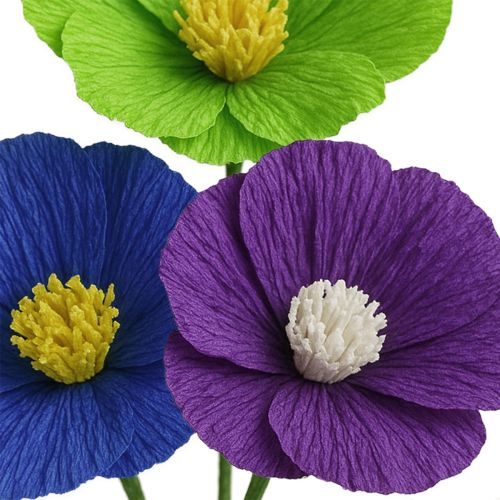 Floristik24 Papel crepom florista roxo escuro 50x250cm