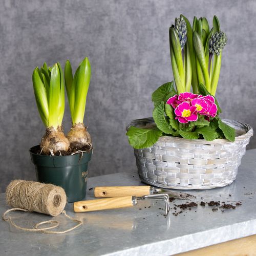 Itens Cesta de vime como elegante decoração floral para a sala de estar. Cesta de Páscoa, 23 cm, 6 peças.