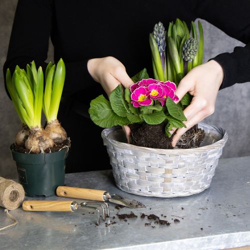 Itens Cesta de vime como elegante decoração floral para a sala de estar. Cesta de Páscoa, 23 cm, 6 peças.