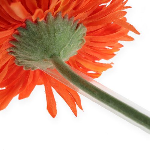 Itens Seções de tubo Gerbera 1000 peças