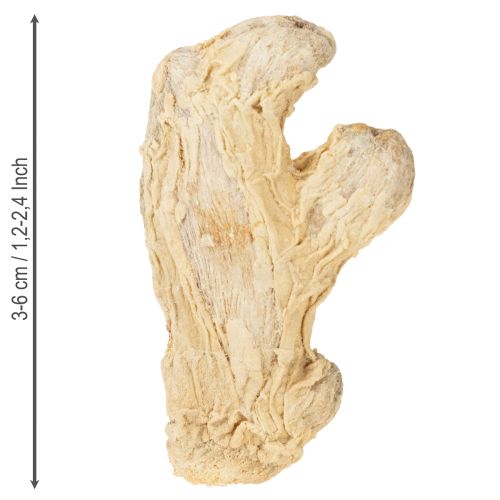 Itens Decoração de Gengibre Seco Decoração Natural 500g