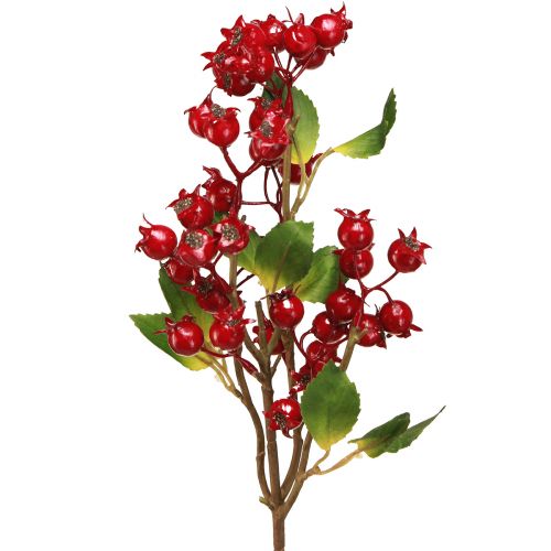 Itens Ramo decorativo de Rosa Mosqueta com frutos vermelhos C60cm 2 un