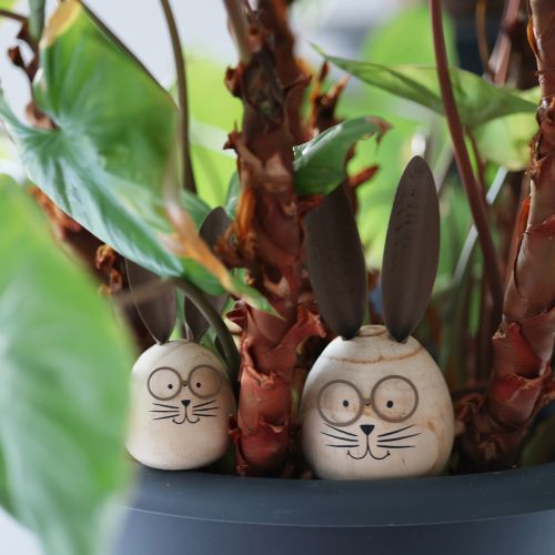 Itens Coelho decorativo em formato de ovo, com personalidade, para decoração de primavera e outras estações do ano, 14 cm, conjunto de 3 peças.