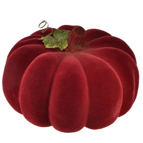 Floristik24 Decoração de outono abóbora flocada vermelho bordô - decoração de abóbora para um ambiente de outono único 32cm
