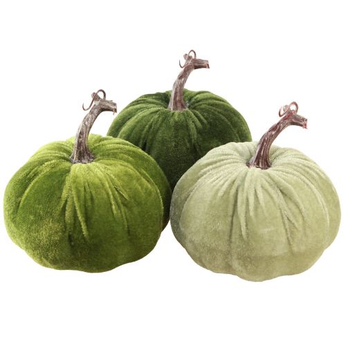 Floristik24 Decoração de outono abóbora verde claro verde escuro Ø13cm 3 unidades