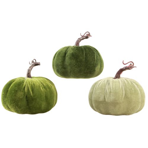 Floristik24 Decoração de outono abóbora verde claro verde escuro Ø13cm 3 unidades