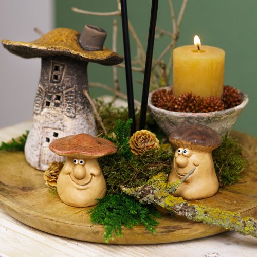 Itens Conjunto de decoração de outono ouriço cogumelos dragão – compre caixa de decoração barata