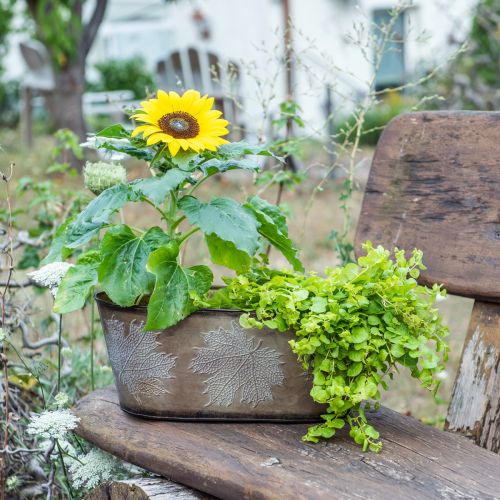 Itens Vaso de outono, tigela para plantas com folhas, decoração em metal dourado C38cm Alt.15cm