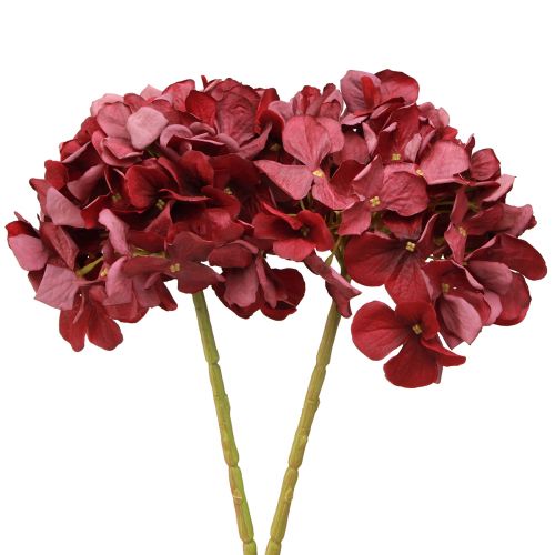 Itens Hortênsia Artificial Borgonha Flor Grande Ø15cm C58cm 2uns