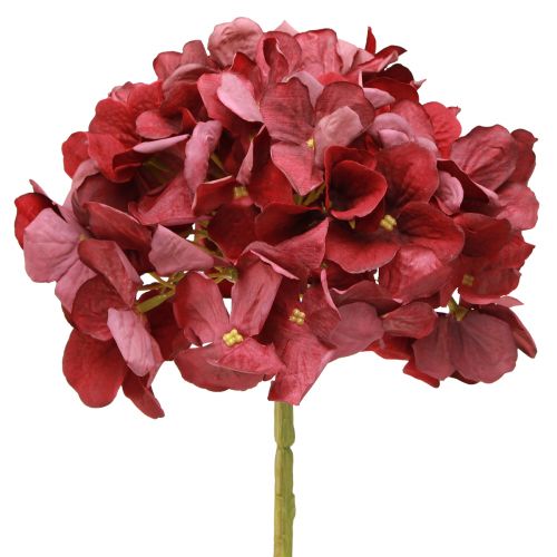 Itens Hortênsia Artificial Borgonha Flor Grande Ø15cm C58cm 2uns