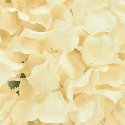 Itens Guirlanda de hortênsias creme hortênsias artificiais Ø40cm