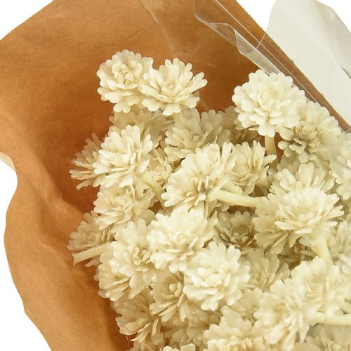 Itens Erva artificial de curry branco bege C28cm 12 unidades 1 cacho