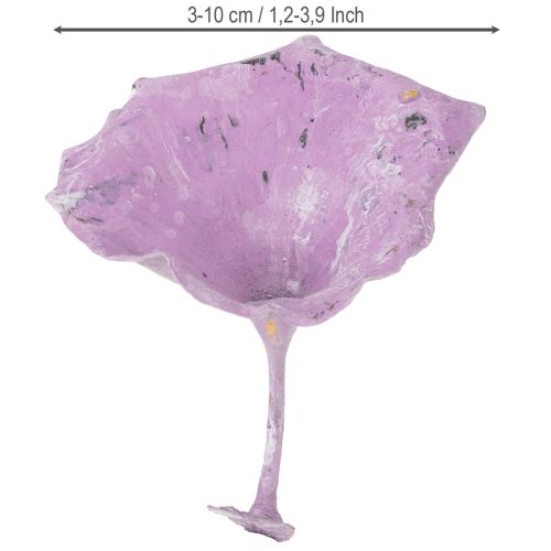 Itens Kalix Cogumelo Roxo, Branco Lavado 100 unidades