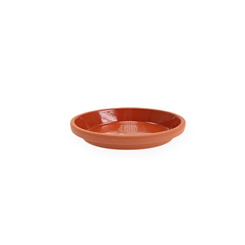 Floristik24 Base para copos em terracota Ø5cm