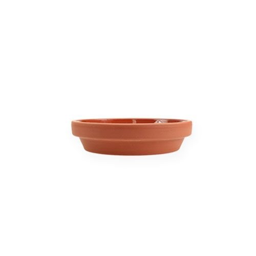Floristik24 Base para copos em terracota Ø5cm