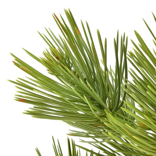 Floristik24 Pinho em Pote Mini Árvore de Natal Artificial Verde Alt.72cm