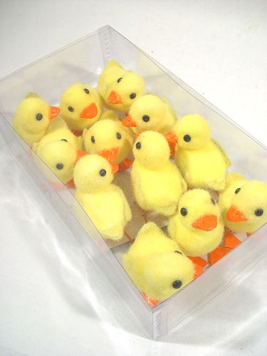 Floristik24 Pintinho com pés de arame 8cm 12pcs. amarelo alaranjado