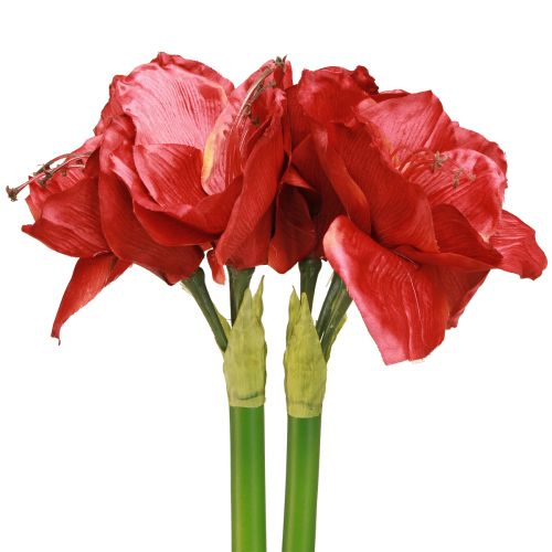 Itens Amarílis Artificial Flores Artificiais Vermelhas Ø18cm L68cm 2uns
