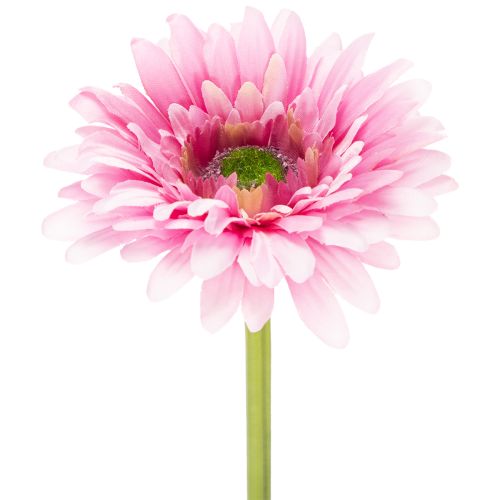 Flores artificiais de gerbera para jardim, rosa, 47 cm, 6 peças. comprar | Floristik24.pt