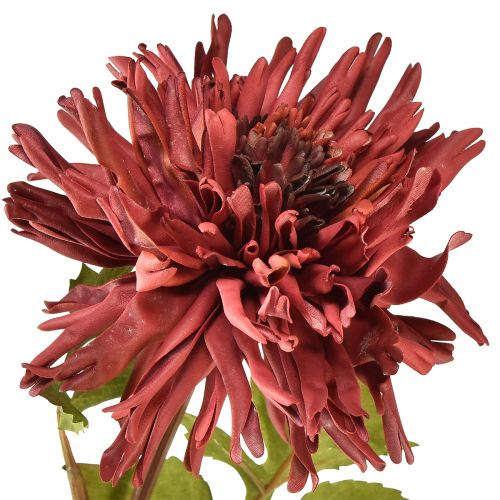 Itens Crisântemo artificial em bordô Ø5cm/Ø11cm C70cm