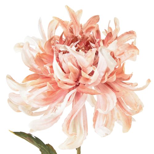 Itens Crisântemos Artificiais Rosa Malva Ø13cm C72cm 2pcs