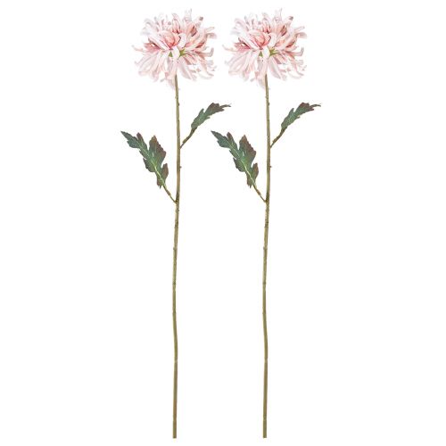 Itens Crisântemos Artificiais Rosa Malva Ø13cm C72cm 2pcs