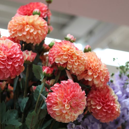 Itens Dálias artificiais em rosa pêssego Ø10cm C80cm 2 unidades