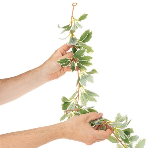 Guirlanda artificial com folhas variegadas, 175 cm | Floristik24.pt