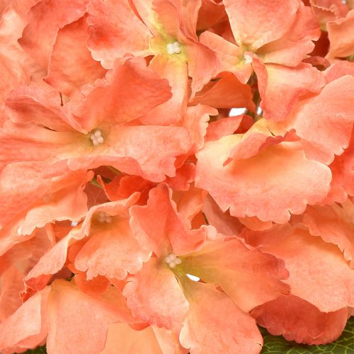 Itens Hortênsia artificial Flor decorativa gigante salmão Ø23cm C84cm