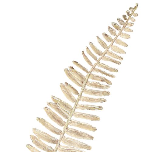 Itens Plantas artificiais de samambaia ramificada creme branco C120cm