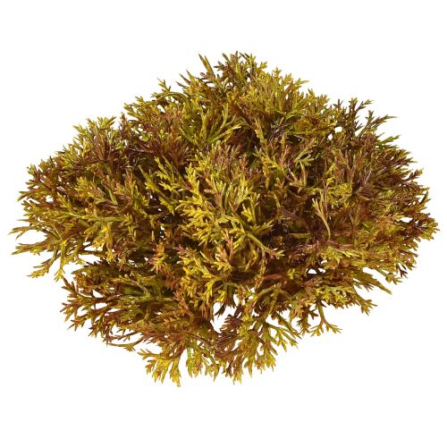 Itens Decoração artificial em musgo castanho – almofada musgo 10/12/14cm 3 un