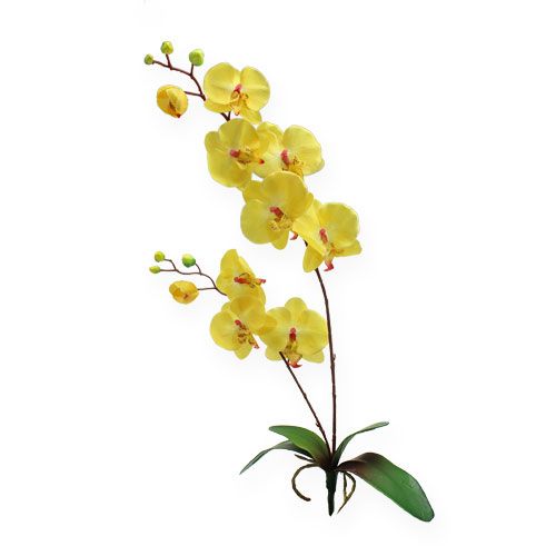 Floristik24 Orquídea Artificial Amarelo 68cm