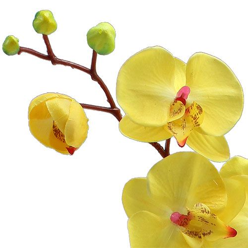 Floristik24 Orquídea Artificial Amarelo 68cm