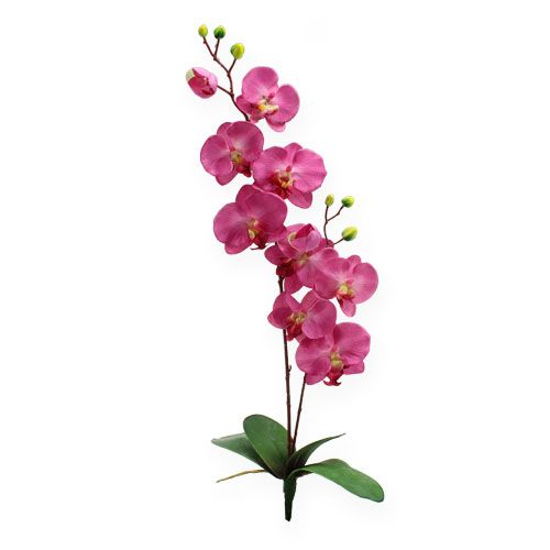 Floristik24 Orquídea Artificial com Folhas Rosa 68cm