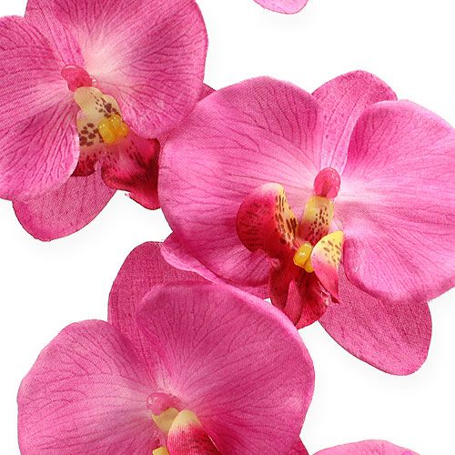 Floristik24 Orquídea Artificial com Folhas Rosa 68cm