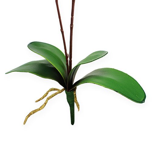 Floristik24 Orquídea Artificial com Folhas Rosa 68cm