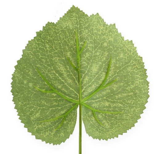 Floristik24 Folhas de plantas decorativas Galax W10cm L22cm 24pcs