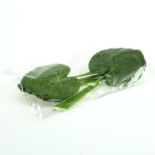 Floristik24 Folhas de plantas decorativas Galax W10cm L22cm 24pcs