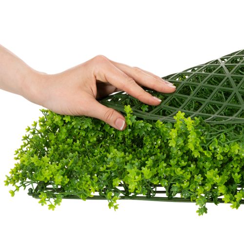 Tapete de buxo artificial 55x55 cm para decoração de parede | Floristik24.pt