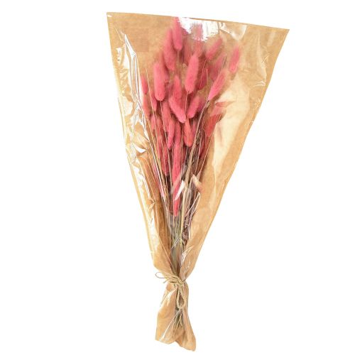 Itens Lagurus Grama Rabo de Coelho Seco Rosa L45cm 50g